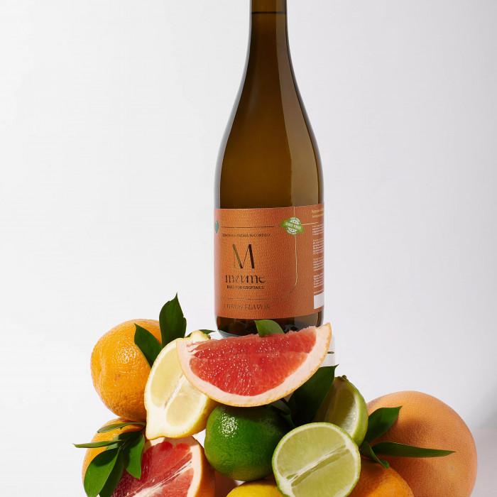 ᐉ Купити Кордіал MixMe – Citrus в Києві » ParovozChips
